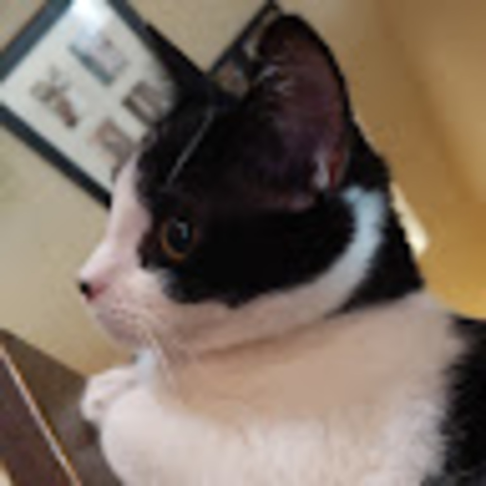 Meet your Posher, Reilene